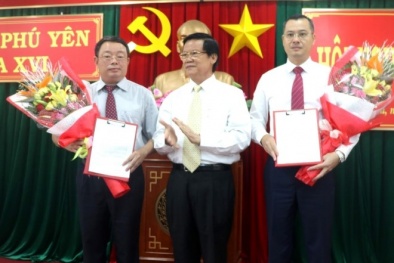 Trao các quyết định của Ban Bí thư Trung ương Đảng về công tác cán bộ