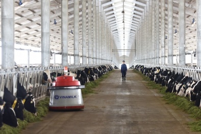 Vinamilk tiên phong giới thiệu sữa tươi 100% A2 đầu tiên tại Việt Nam