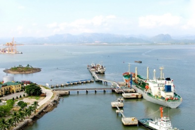 Phó Thủ tướng nêu ý kiến về việc di dời Bến cảng xăng dầu B12