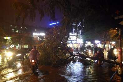 Bão số 4 đổ bộ: ‘Bỏ túi’ ngay kinh nghiệm lái xe máy an toàn