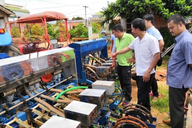 Nâng cao năng suất chất lượng đậu nành từ ứng dụng công nghệ kỹ thuật tiên tiến