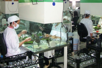 Thúc đẩy doanh nghiệp nâng cao năng suất chất lượng hàng hóa ở Lâm Đồng