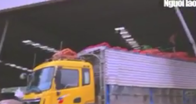 Đường đi nông sản Trung Quốc nhái Đà Lạt