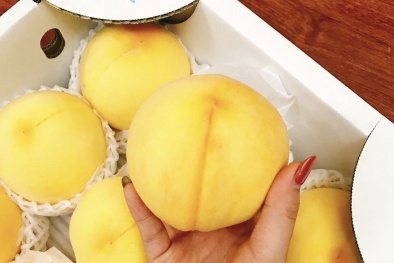 Thị trường lại 'sốt' trước loại đào vàng Nhật Bản giá cả triệu đồng/kg
