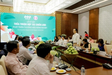 Tập đoàn FLC bảo hộ và phân phối thương hiệu Xoài Cao Lãnh