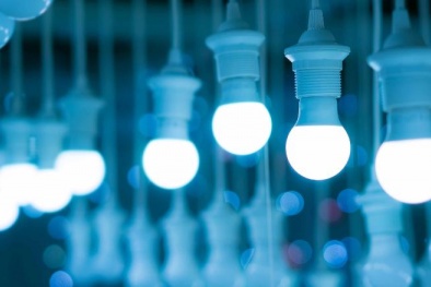 Vì sao bóng đèn halogen bị cấm sử dụng hoàn toàn ở châu Âu từ 1/9?