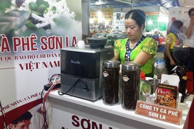 60 chỉ dẫn địa lý được bảo hộ tại 39 tỉnh, thành