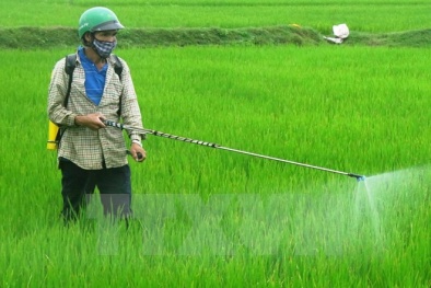 Tăng cường kiểm soát chất lượng thuốc BVTV, sử dụng sản phẩm thân thiện môi trường
