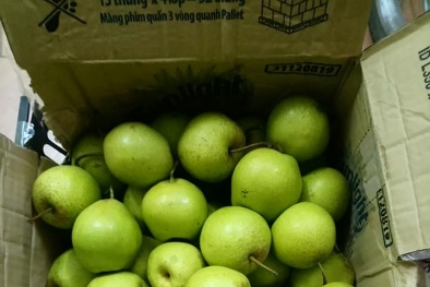 Lê Hà Giang ngọt nước hút khách, bà nội trợ chi tiền triệu mua cả thùng 30kg