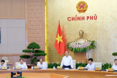 Thủ tướng đề nghị cần có biện pháp xử lý việc có thông tin bôi xấu sản phẩm cá tra Việt Nam
