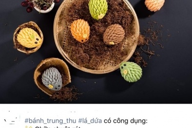 Thực hư những loại bánh trung thu được quảng cáo chữa bách bệnh