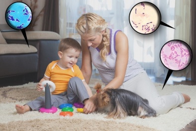 Những mối nguy tiềm ẩn gây họa cho sức khỏe từ mái nhà thân yêu