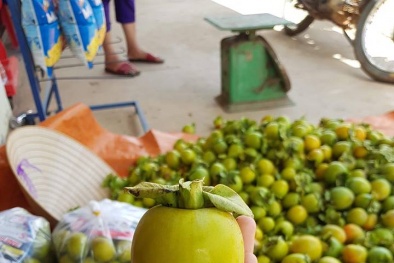 Sức hút kỳ lạ của đặc sản hồng giòn Đà Lạt giá chỉ 30 nghìn/kg