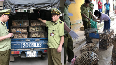 'Nóng' tình trạng gia cầm giống nhập lậu từ Trung Quốc tuồn vào nội địa