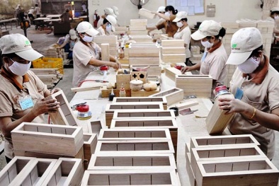 Lo ngại gỗ Trung Quốc 'mượn danh' hàng Việt để xuất khẩu