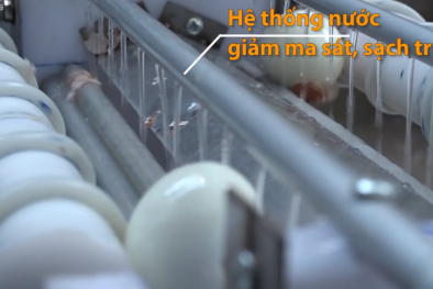 Chàng trai chế tạo máy bóc 3.000 vỏ trứng mỗi giờ ở TP.HCM