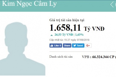 Danh tính 6 nữ đại gia giấu mặt sở hữu nghìn tỷ, đứng top đầu người giàu Việt