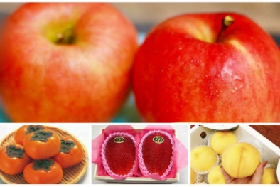 Những loại trái cây xuất xứ Nhật Bản chỉ dành riêng cho giới nhà giàu Việt
