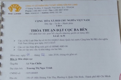 Cục trưởng Cục Thuế TP.HCM: ‘Sẽ cho kiểm tra, xử lý các trường hợp lách thuế như Rio Land’