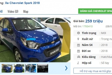Chiếc ô tô vừa giảm giá chỉ còn 259 triệu, rẻ nhất Việt Nam: 'Thượng đế' có hào hứng?