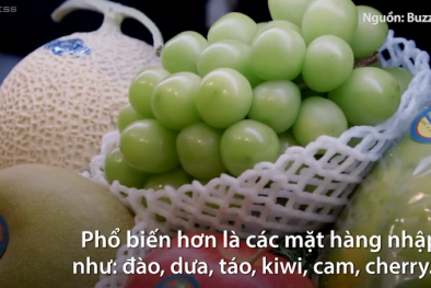 Người Việt chi 3,3 triệu USD mỗi ngày vào trái cây nhập khẩu