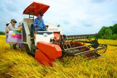 Nhận diện nguyên nhân gây ra năng suất lao động Việt Nam đạt thấp