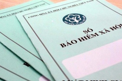 Nhiều doanh nghiệp vận tải đứng đầu danh sách nợ bảo hiểm xã hội tại TP.HCM