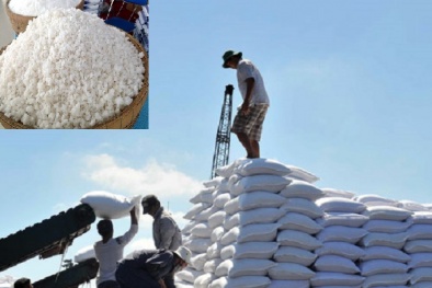 Kiểm tra chất lượng, an toàn thực phẩm muối nhập khẩu theo 'chuẩn' nào?