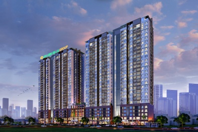 Vì sao dự án Đức Long Golden Land ở TP.HCM bị thanh tra toàn diện?