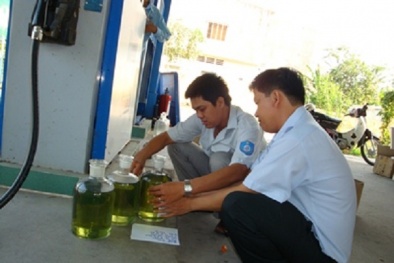 Đồng Tháp: Phạt 8 cơ sở dùng phương tiện hết hạn kiểm định số tiền 25 triệu đồng