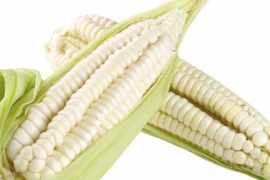 Vì sao 1 bắp ngô nếp Nhật Bản có giá 150.000 đồng tại thị trường Việt Nam?