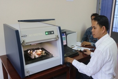 Hải Dương: Kiểm tra kinh doanh vàng trang sức, mỹ nghệ phát hiện nhiều sai phạm