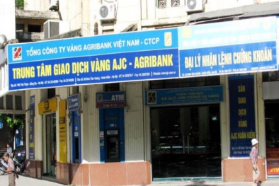 Hé lộ danh tính hai 'nữ tướng' vừa ngồi 'ghế nóng' Công ty vàng Agribank