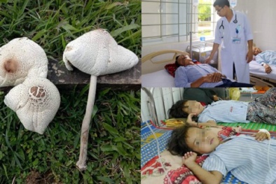 Cảnh báo: Không nên 'đánh cược' tính mạng với những loại nấm lạ ở rừng