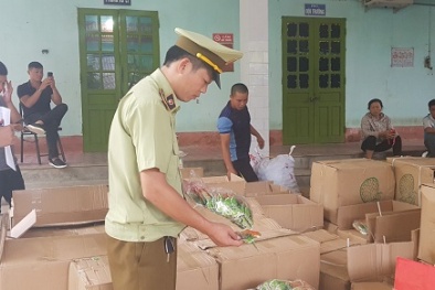 Nhập lậu bánh kẹo Trung Quốc về bán cho học sinh ở cổng trường kiếm lời