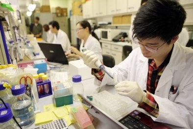 Chính phủ phê duyệt đề án về phát triển nguồn tin khoa học và công nghệ