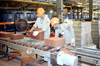 Quảng Nam: 17 doanh nghiệp được hỗ trợ áp dụng hệ thống quản lý chất lượng