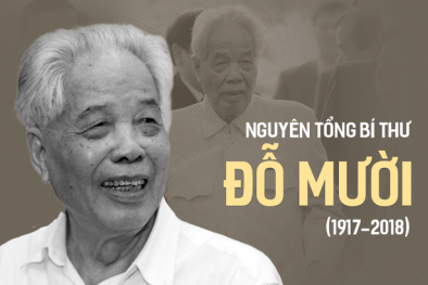 Nguyên Tổng Bí thư Đỗ Mười và tâm huyết phát triển khoa học công nghệ nước nhà