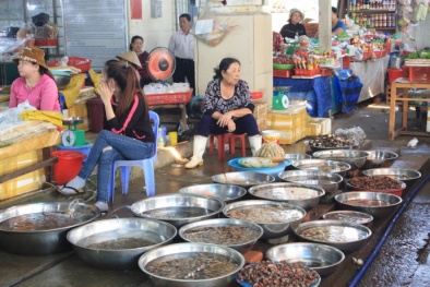 Người dùng sẵn sàng mua thủy sản chất lượng cao nhưng nguồn gốc phải rõ ràng
