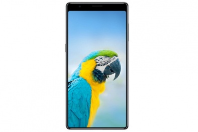 Bphone 3 của CEO Quảng 'nổ': Vì sao chọn chú vẹt rực rỡ sắc màu làm hình nền?