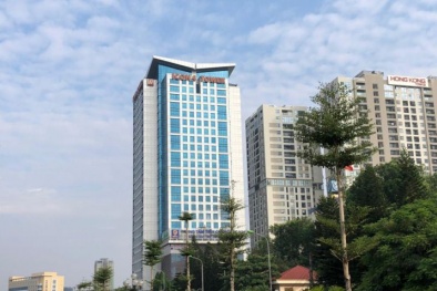 Đại hội cổ đông bất thường của Cienco 4 sắp diễn ra sẽ bàn thảo nội dung gì?