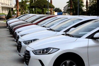 Lượng ô tô nhập khẩu giảm nhẹ nhưng vẫn ở mức cao