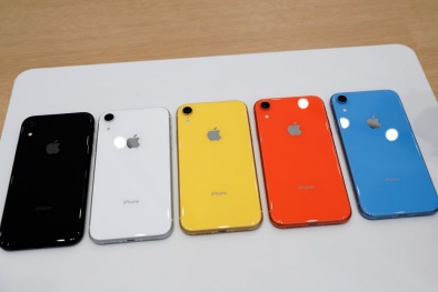 Google Pixel 800 USD so với iPhone XR 750 USD: Mèo nào cắn mỉu nào?