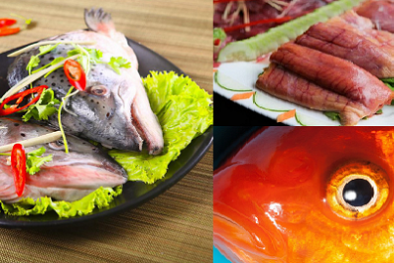 Không riêng gì mật, cá còn có nhiều bộ phận không nên ăn kẻo 'gặp họa'