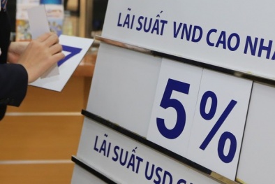 Nhiều ngân hàng bước vào cuộc đua lãi suất tiền gửi dịp cuối năm