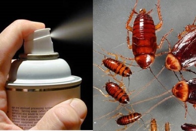 Chuốc họa vì thuốc diệt côn trùng không rõ nguồn gốc