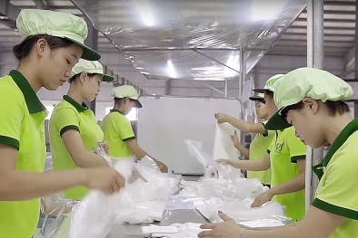 Doanh nghiệp Việt chinh phục người Nhật nhờ làm 5S