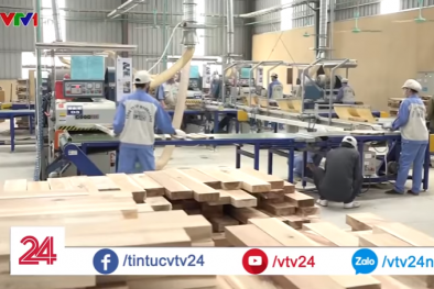 Thị trường Mỹ có giải quyết được điệp khúc 'được mùa mất giá' cho trái cây Việt?