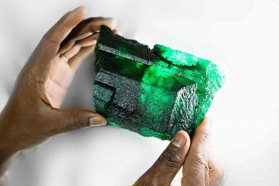 Thợ mỏ đào được viên ngọc lục bảo 450 triệu năm tuổi giá 60 tỷ