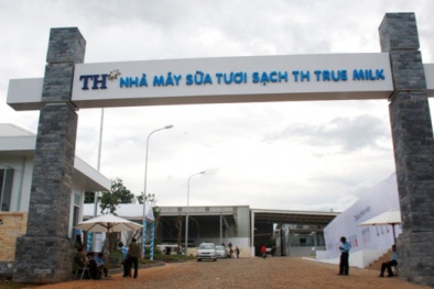 Tham gia đấu thầu sữa học đường, TH True Milk không lọt top 3 thực phẩm uy tín năm 2018